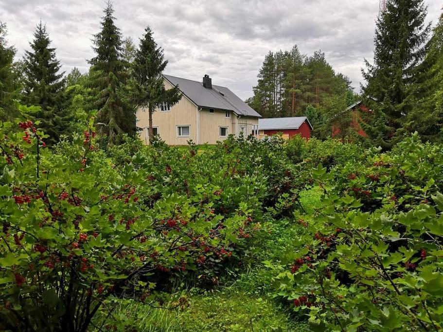 Mukava Mummonmoekki Maaseudun Rauhassa Villa Koivu Kültér fotó