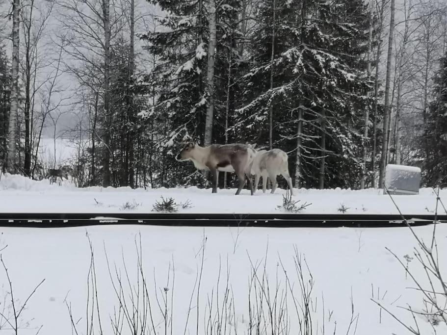 Mukava Mummonmoekki Maaseudun Rauhassa Villa Koivu Kültér fotó