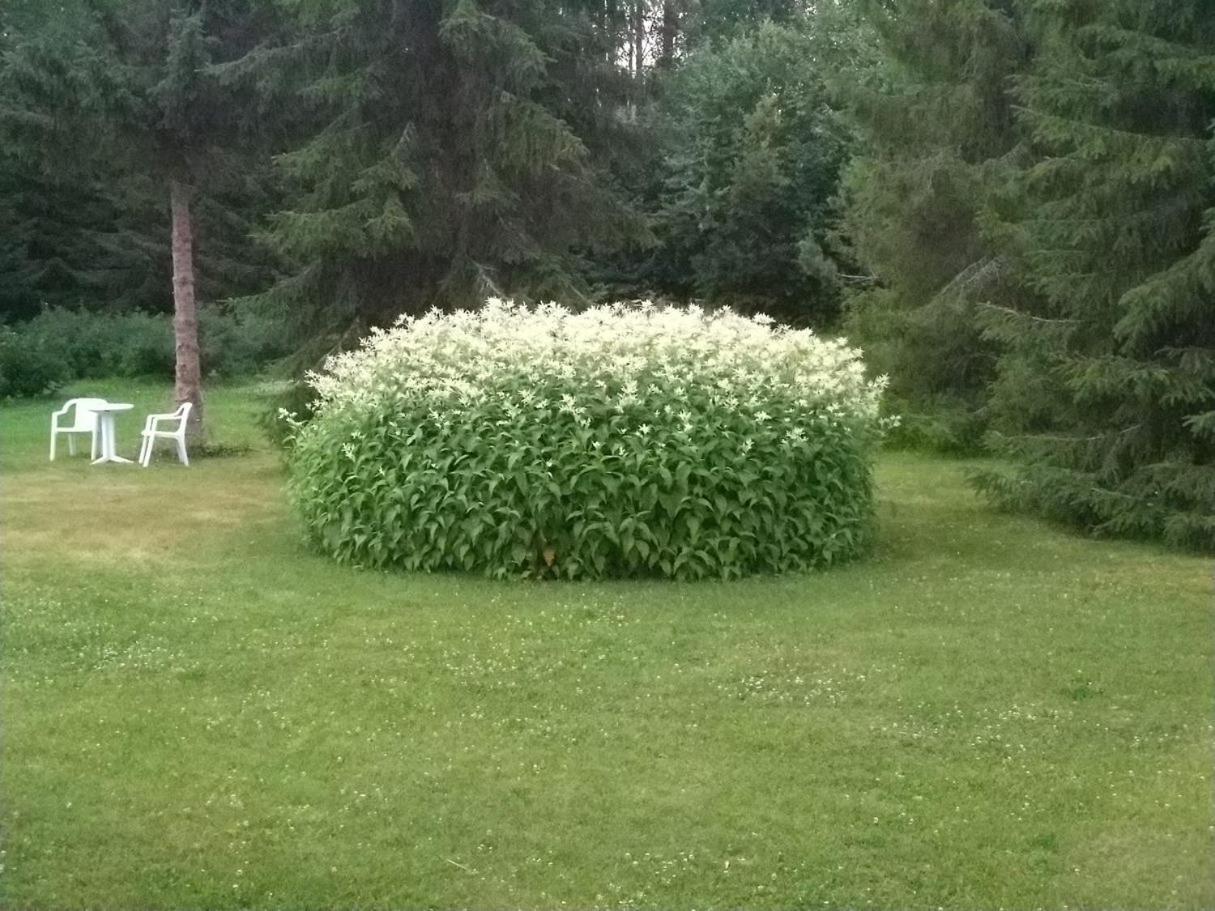 Mukava Mummonmoekki Maaseudun Rauhassa Villa Koivu Kültér fotó